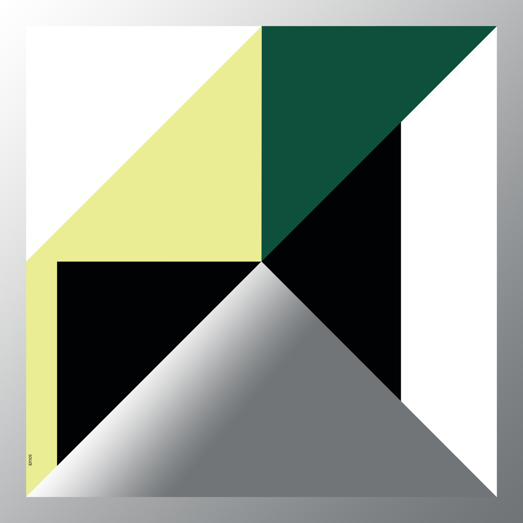 Carré maxi (a) - Juxtapose ,Forest and Ice' EcoCotton